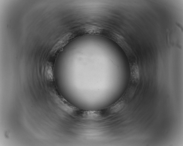 X0000103140622200808221217