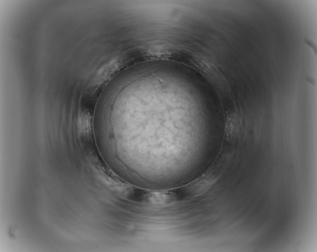 X0000103140623200808221217