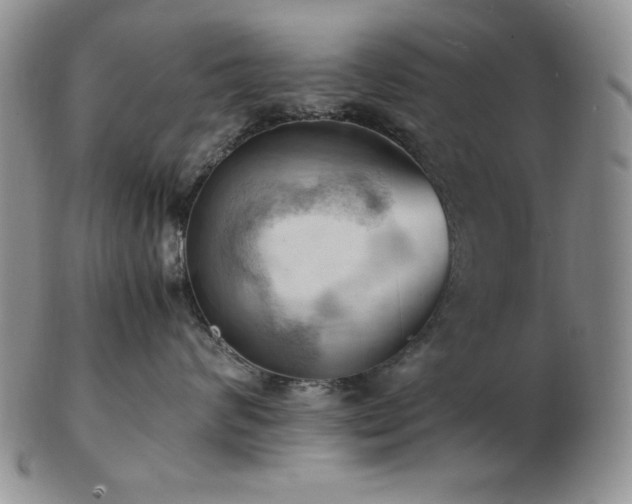 X0000103140624200808221217