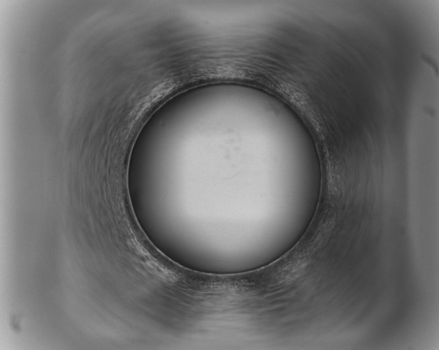 X0000103140625200808221216