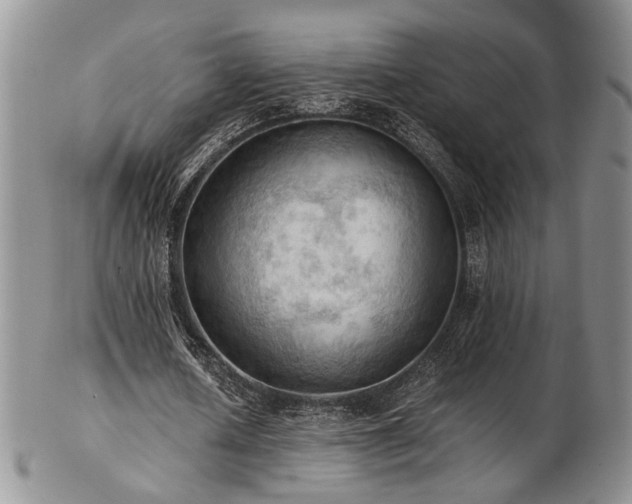 X0000103140626200808221216