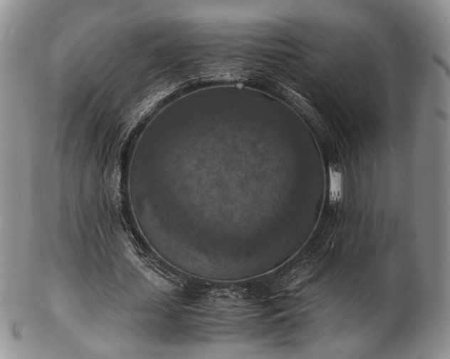 X0000103140627200808221216