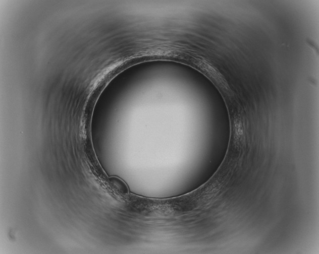 X0000103140628200808221216