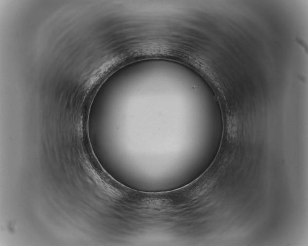 X0000103140629200808221217