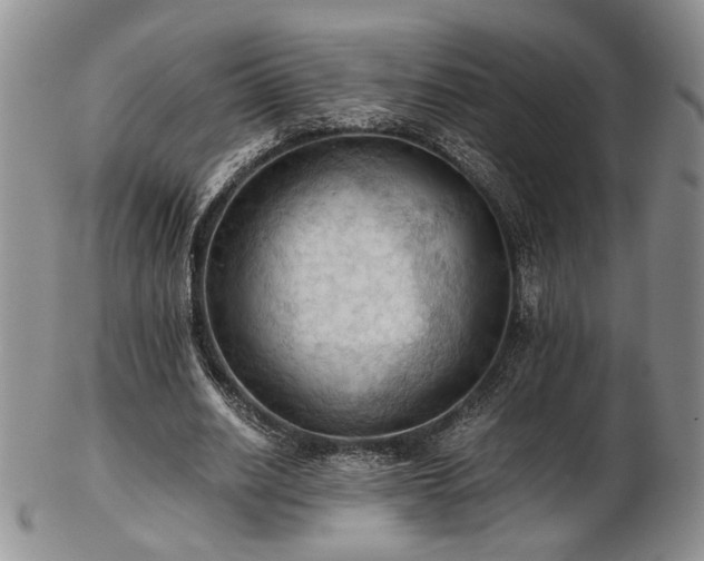 X0000103140630200808221217