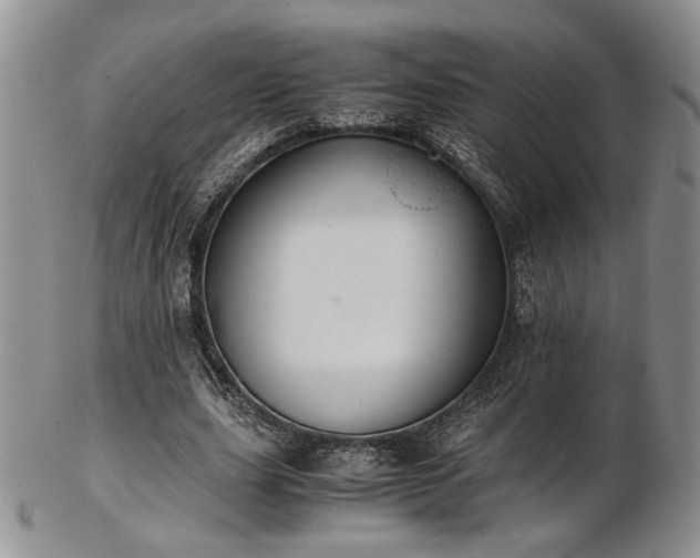 X0000103140631200808221217