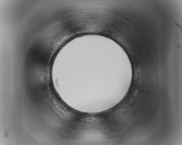 X0000103140632200808221217