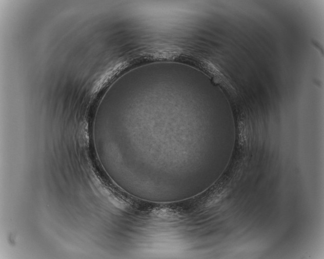 X0000103140634200808221217