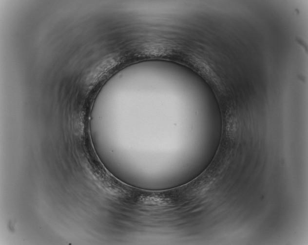 X0000103140635200808221217