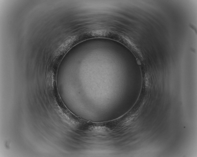 X0000103140637200808221217