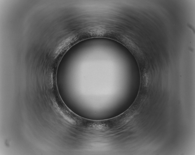 X0000103140638200808221217