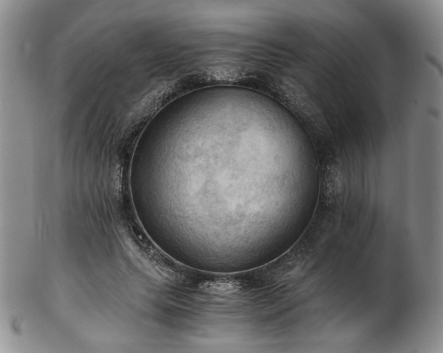 X0000103140639200808221217