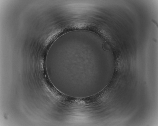 X0000103140640200808221217