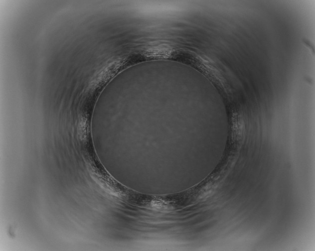 X0000103140641200808221217