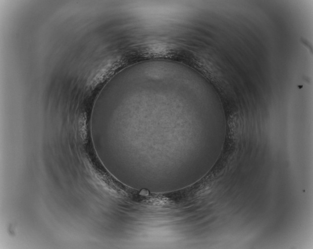 X0000103140642200808221217