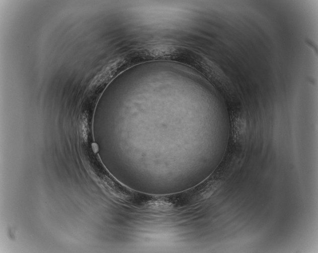 X0000103140644200808221217