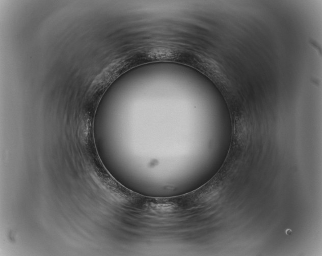 X0000103140645200808221217