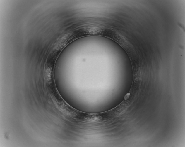 X0000103140646200808221217