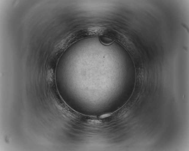 X0000103140649200808221217