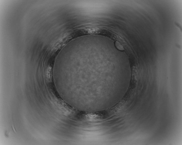 X0000103140650200808221217