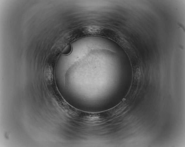 X0000103140651200808221217