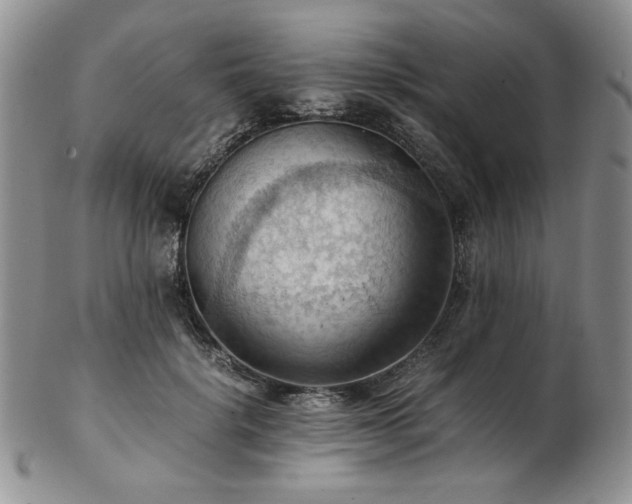 X0000103140652200808221217