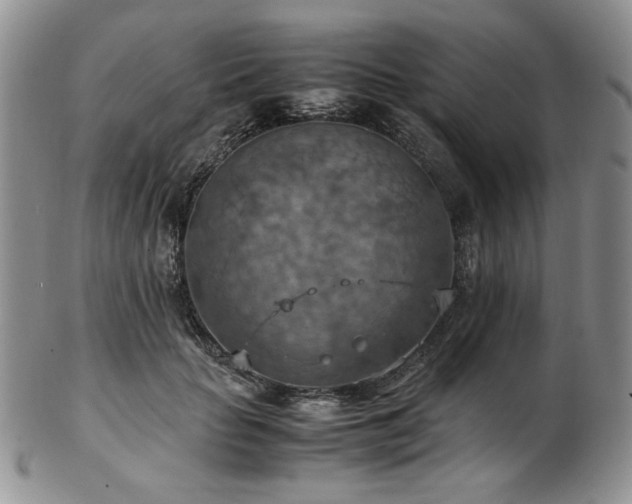 X0000103140653200808221217