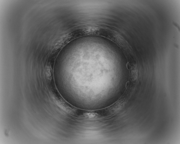 X0000103140654200808221217