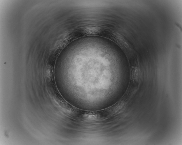 X0000103140655200808221217