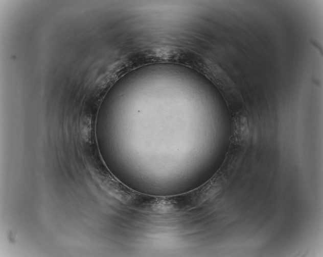 X0000103140656200808221217