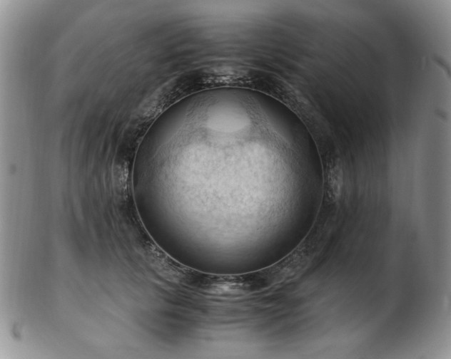 X0000103140657200808221217