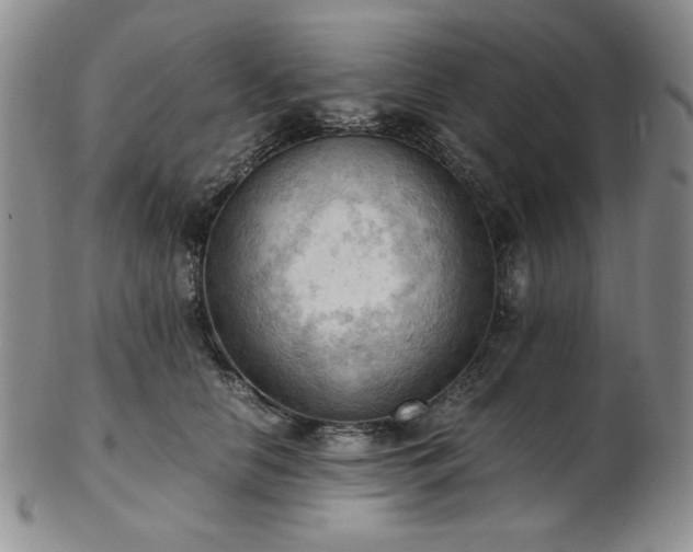 X0000103140658200808221217