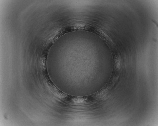 X0000103140661200808221217