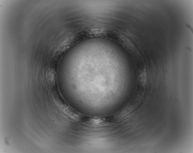 X0000103140662200808221217