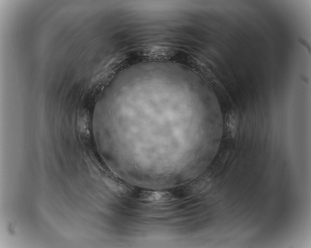 X0000103140663200808221217