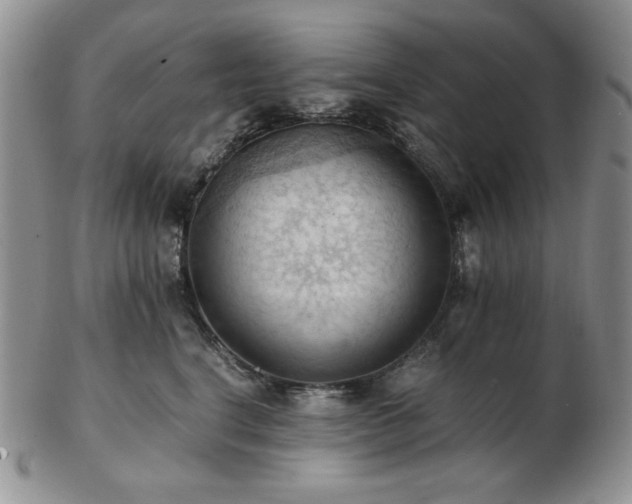 X0000103140664200808221217