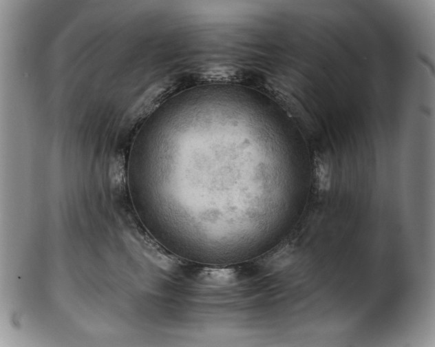 X0000103140665200808221217