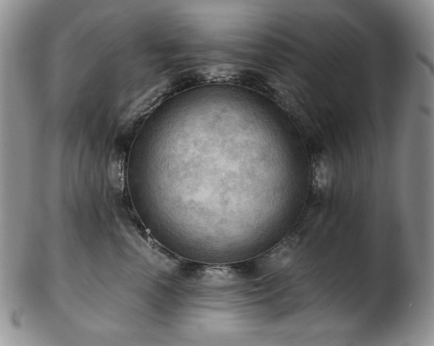 X0000103140666200808221217