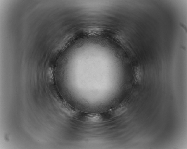 X0000103140667200808221217