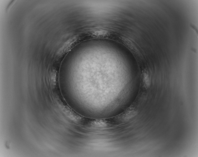 X0000103140668200808221217