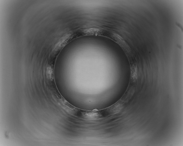 X0000103140669200808221217