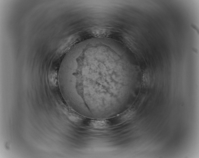 X0000103140671200808221217