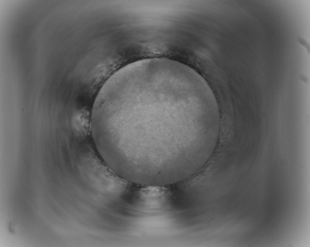 X0000103140672200808221217