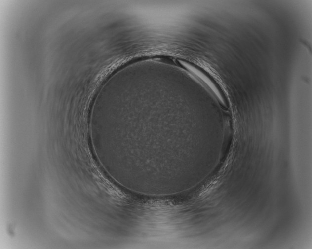 X0000103140673200808221216