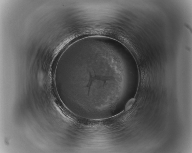 X0000103140674200808221216