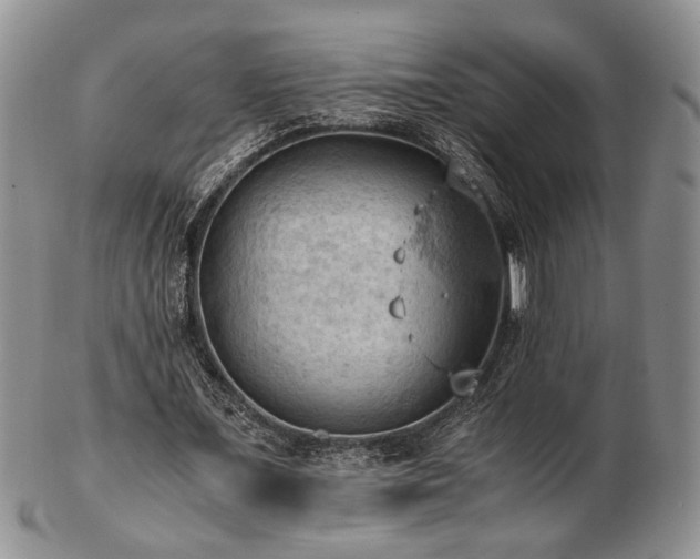 X0000103140675200808221216