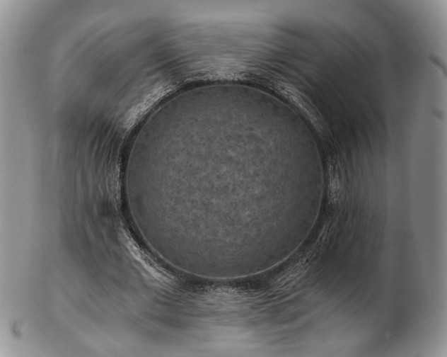 X0000103140677200808221216