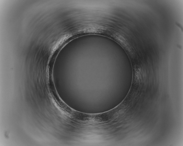 X0000103140678200808221216