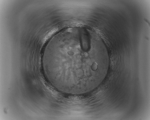 X0000103140679200808221216