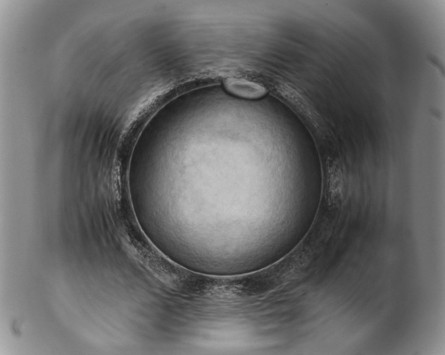 X0000103140680200808221216